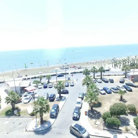 Zorbas No 2